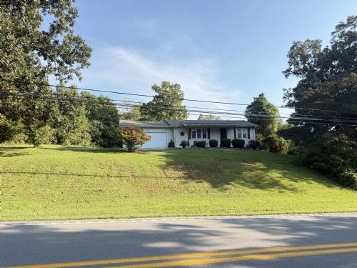 Lewis Auction